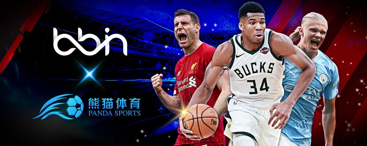 了中国羽毛