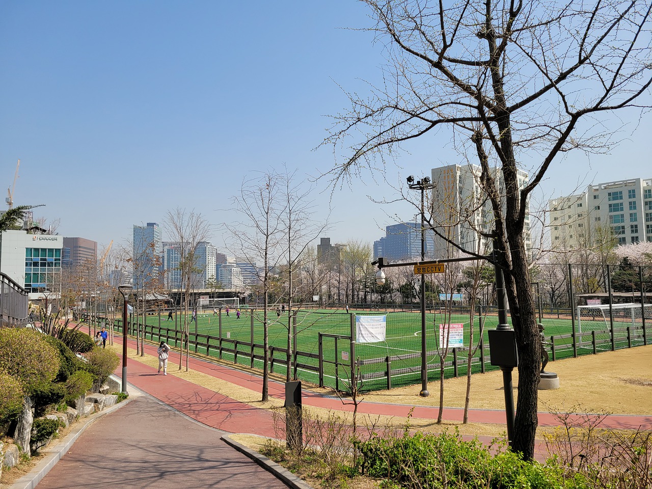 新任总监休